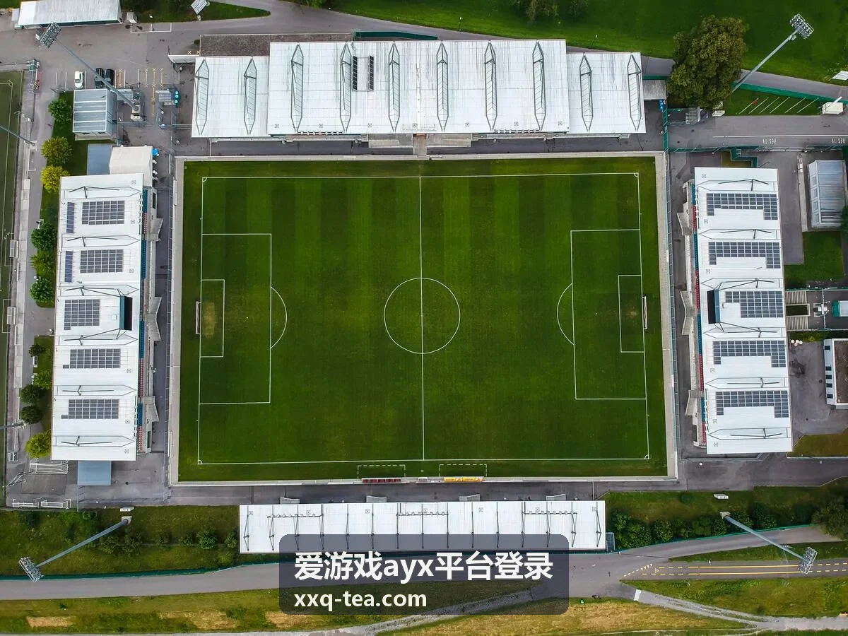 爱游戏ayx平台登录常见问题答疑封面